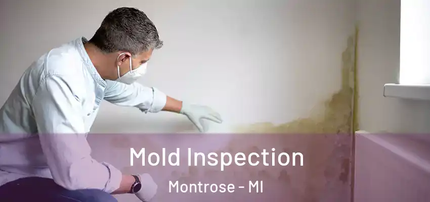  Mold Inspection Montrose - MI