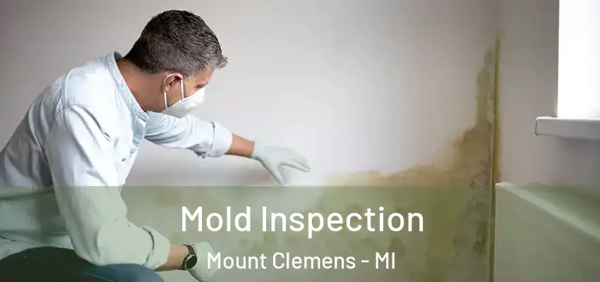  Mold Inspection Mount Clemens - MI