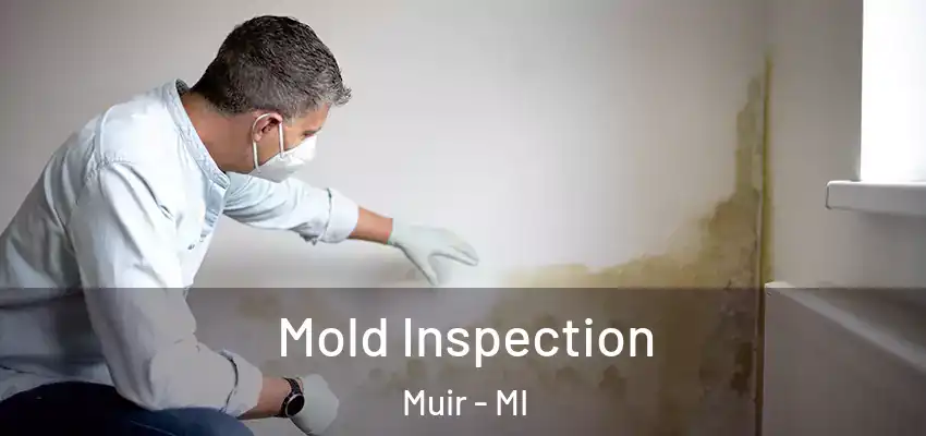  Mold Inspection Muir - MI