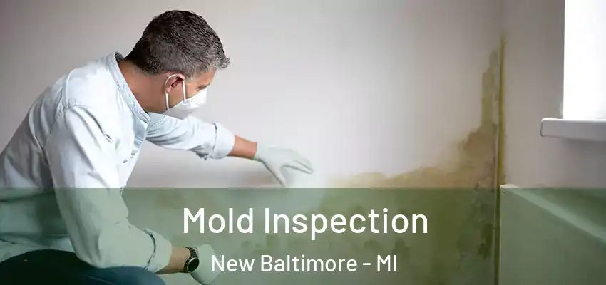  Mold Inspection New Baltimore - MI