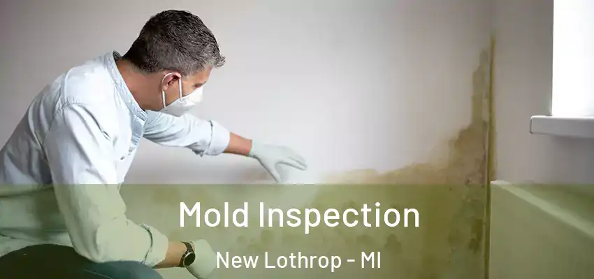  Mold Inspection New Lothrop - MI