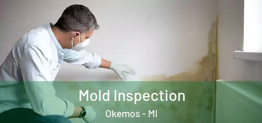  Mold Inspection Okemos - MI