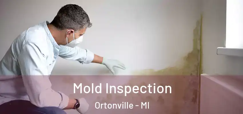  Mold Inspection Ortonville - MI