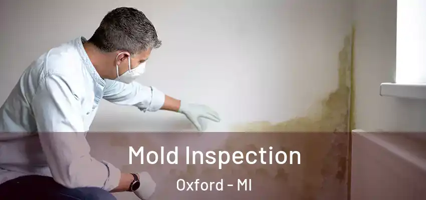  Mold Inspection Oxford - MI