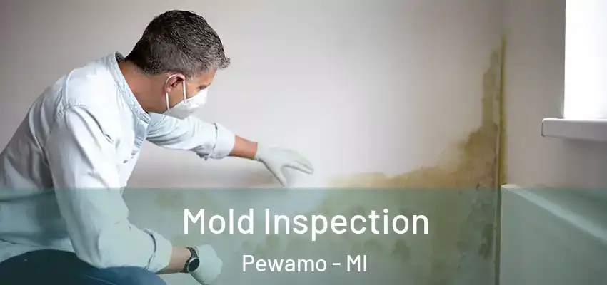  Mold Inspection Pewamo - MI