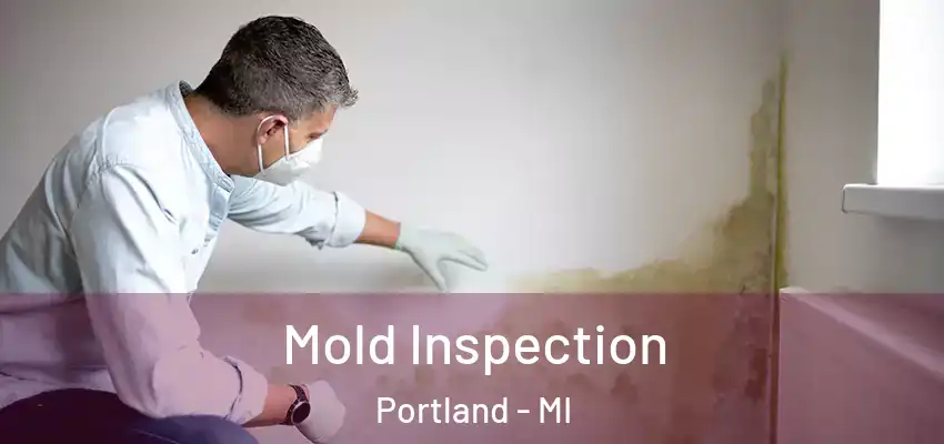  Mold Inspection Portland - MI