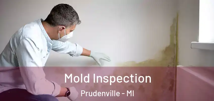  Mold Inspection Prudenville - MI