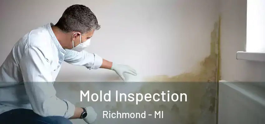  Mold Inspection Richmond - MI