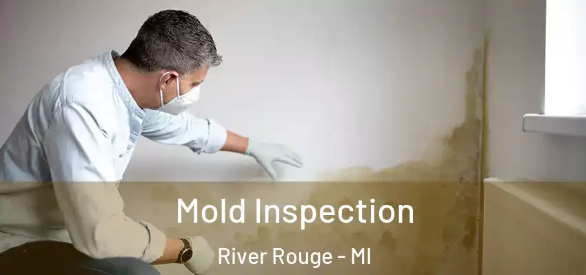  Mold Inspection River Rouge - MI