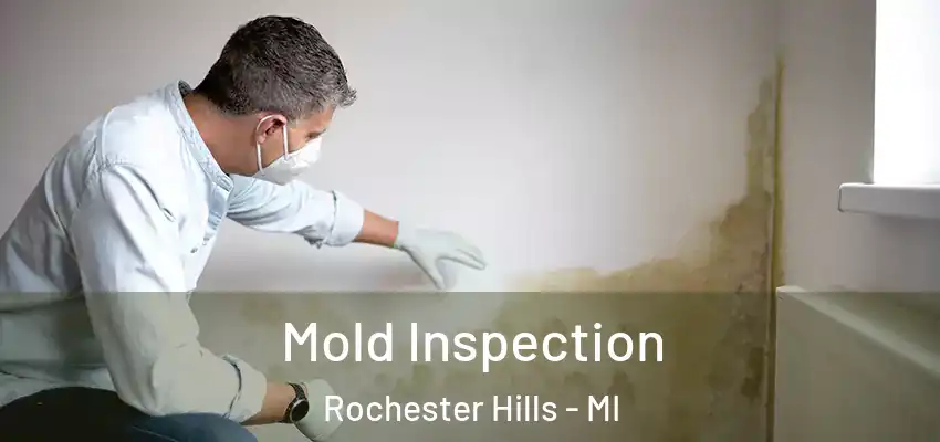  Mold Inspection Rochester Hills - MI