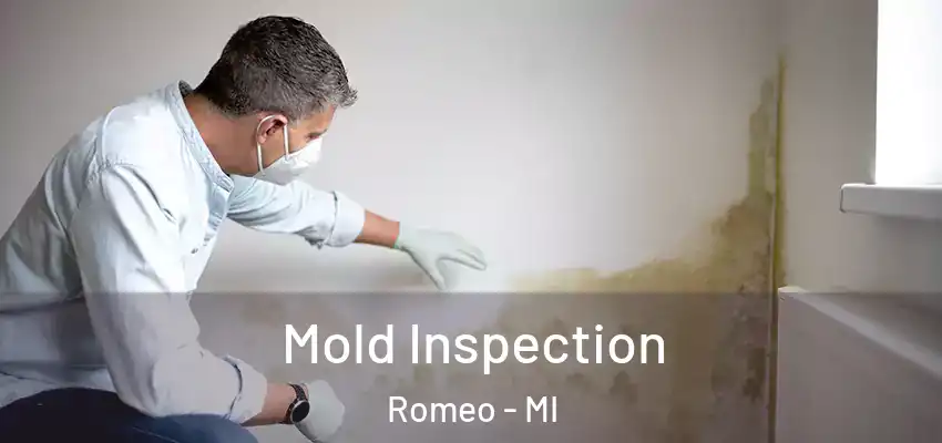  Mold Inspection Romeo - MI