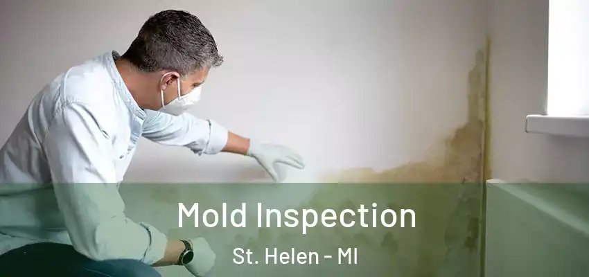  Mold Inspection St. Helen - MI