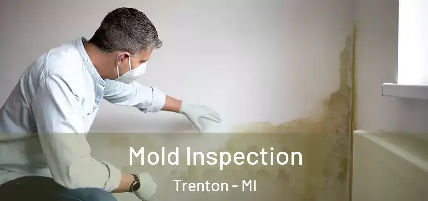  Mold Inspection Trenton - MI
