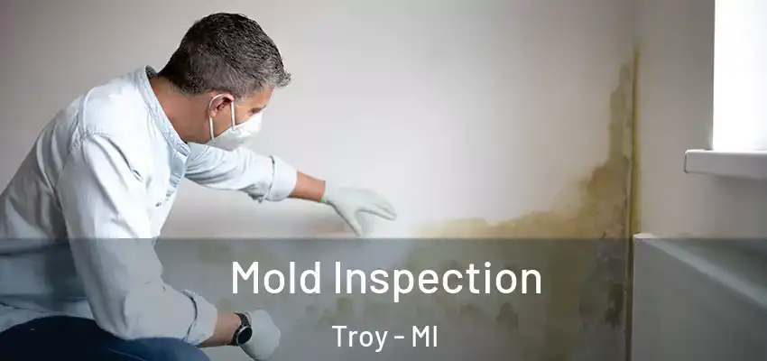  Mold Inspection Troy - MI
