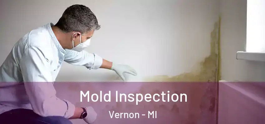  Mold Inspection Vernon - MI
