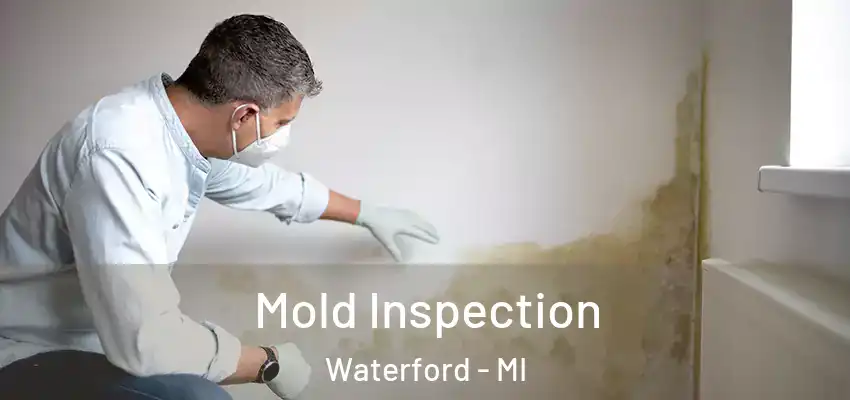  Mold Inspection Waterford - MI