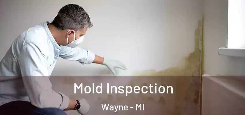 Mold Inspection Wayne - MI