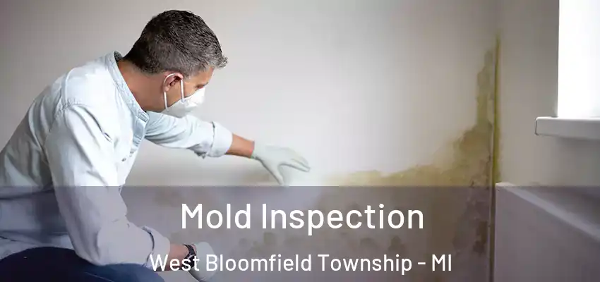  Mold Inspection West Bloomfield Township - MI