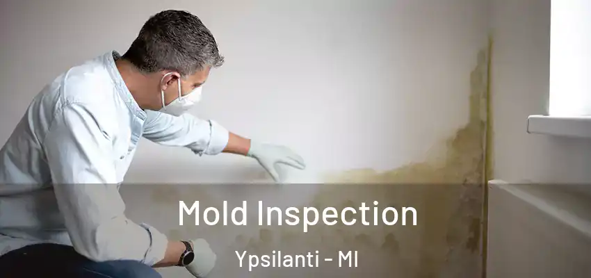  Mold Inspection Ypsilanti - MI