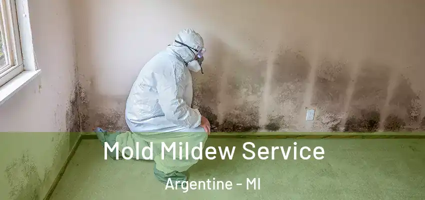  Mold Mildew Service Argentine - MI