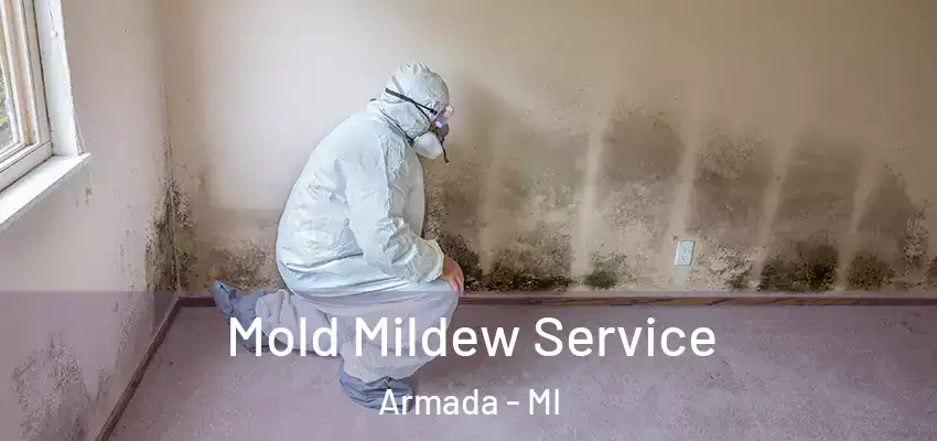  Mold Mildew Service Armada - MI