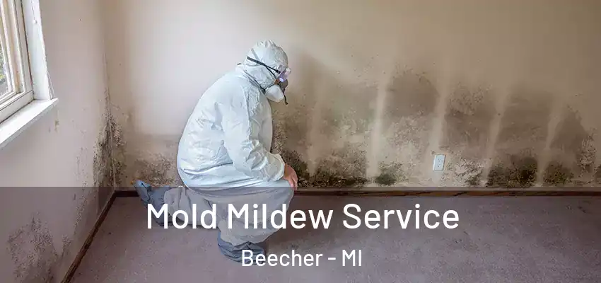  Mold Mildew Service Beecher - MI