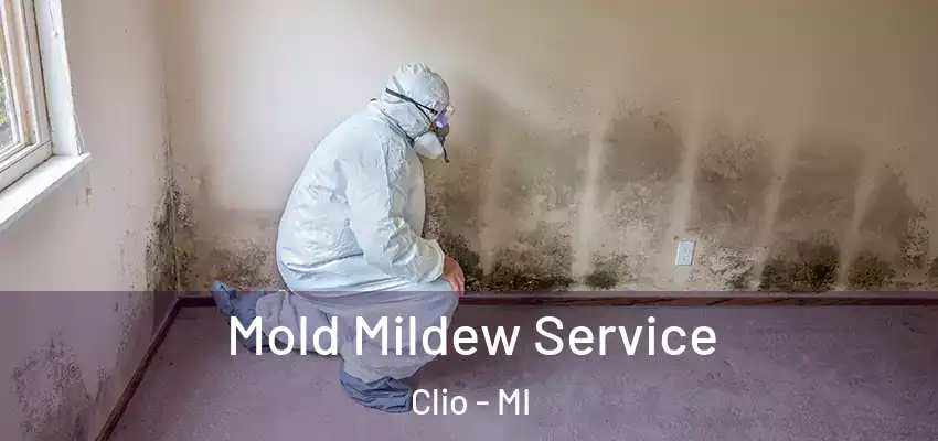  Mold Mildew Service Clio - MI