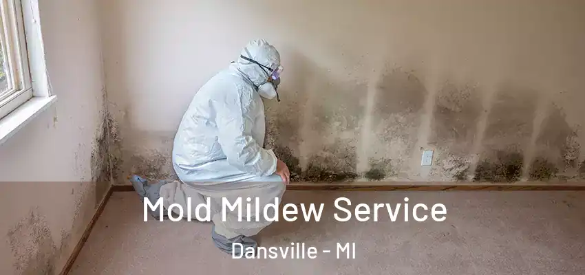  Mold Mildew Service Dansville - MI