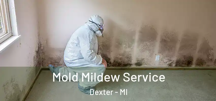  Mold Mildew Service Dexter - MI