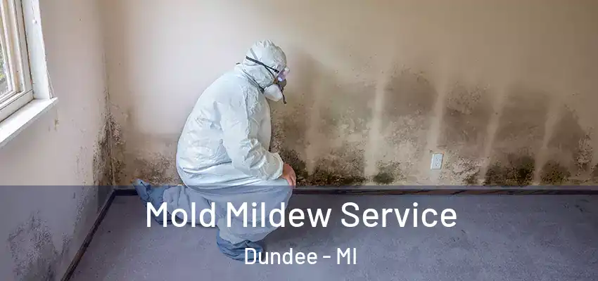  Mold Mildew Service Dundee - MI