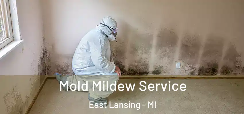Mold Mildew Service East Lansing - MI
