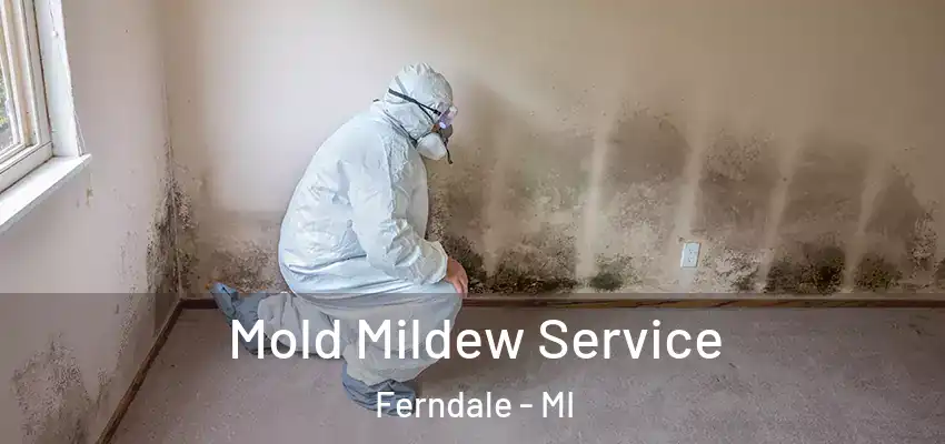  Mold Mildew Service Ferndale - MI