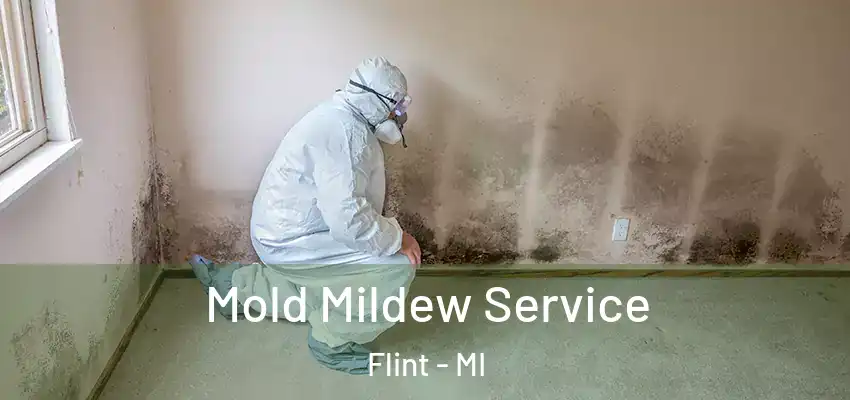  Mold Mildew Service Flint - MI