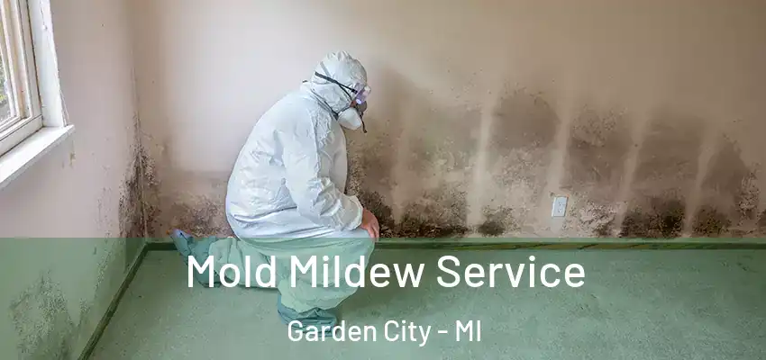 Mold Mildew Service Garden City - MI