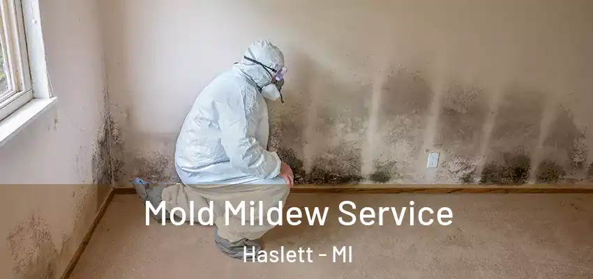  Mold Mildew Service Haslett - MI