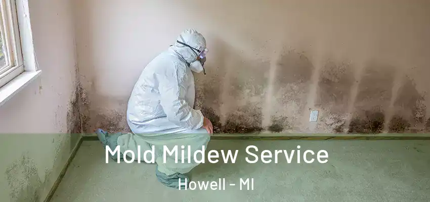  Mold Mildew Service Howell - MI