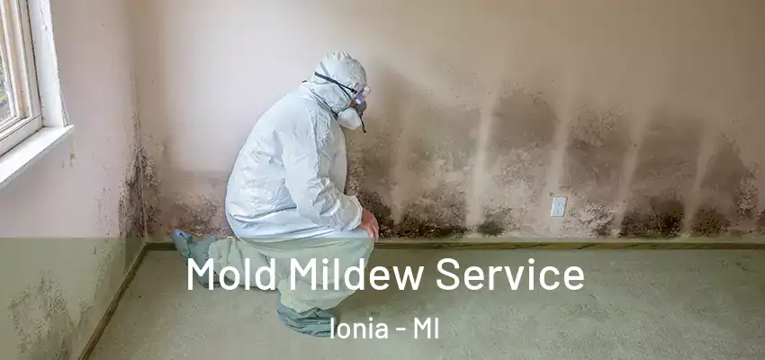 Mold Mildew Service Ionia - MI