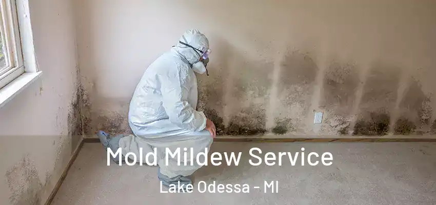  Mold Mildew Service Lake Odessa - MI