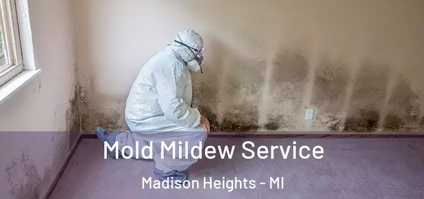  Mold Mildew Service Madison Heights - MI