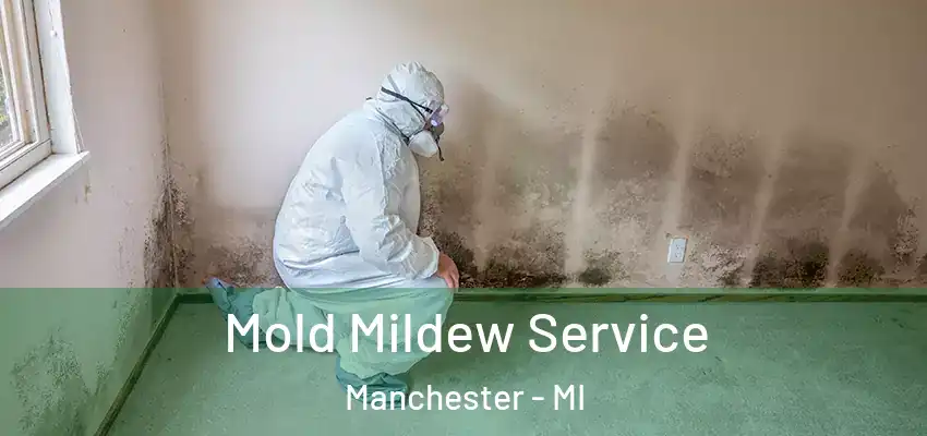  Mold Mildew Service Manchester - MI