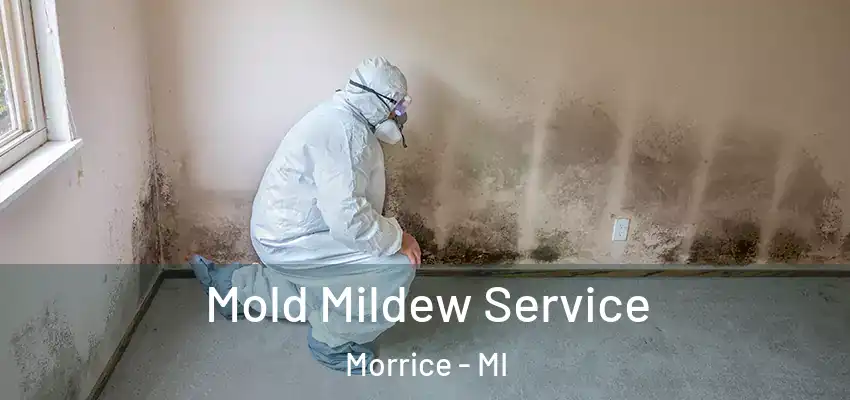  Mold Mildew Service Morrice - MI