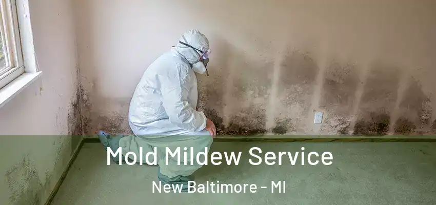  Mold Mildew Service New Baltimore - MI