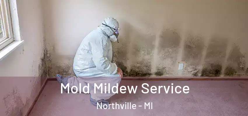  Mold Mildew Service Northville - MI