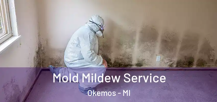  Mold Mildew Service Okemos - MI