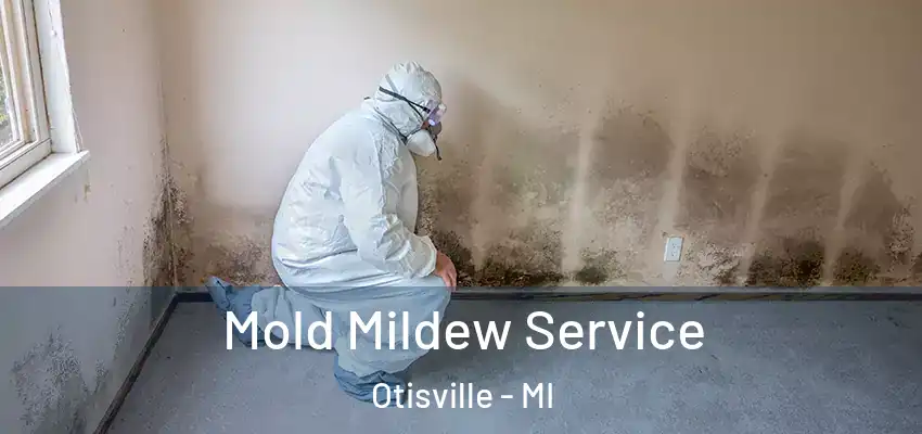  Mold Mildew Service Otisville - MI