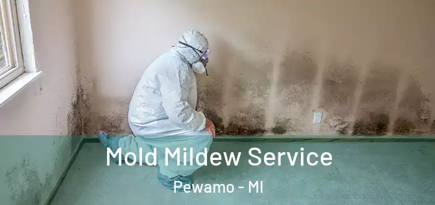 Mold Mildew Service Pewamo - MI