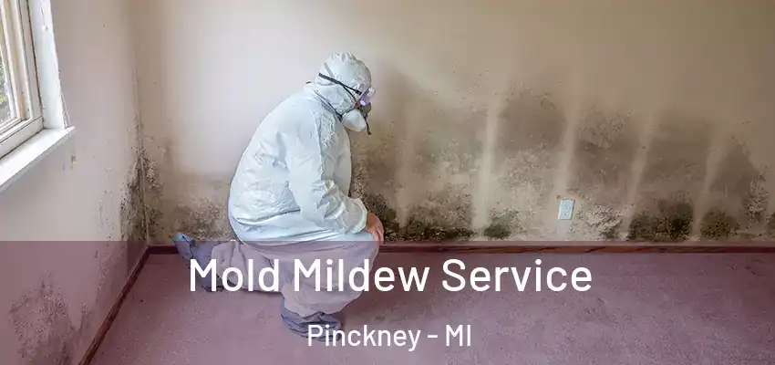  Mold Mildew Service Pinckney - MI
