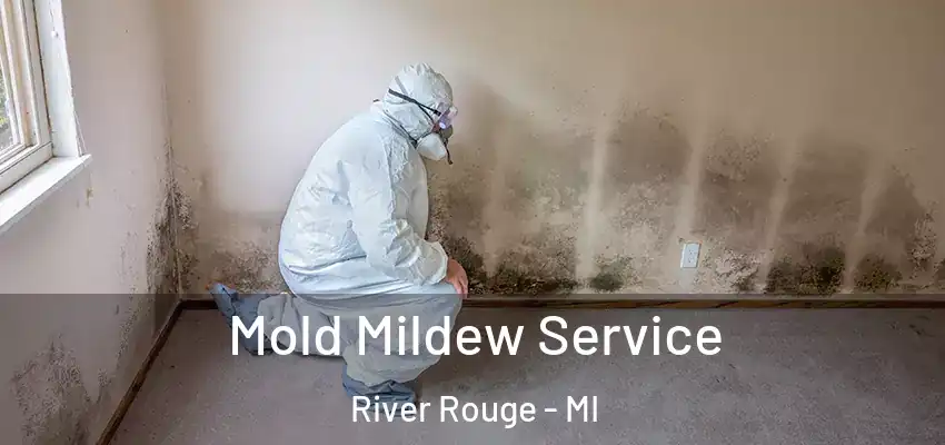  Mold Mildew Service River Rouge - MI