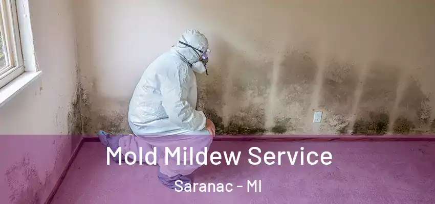 Mold Mildew Service Saranac - MI