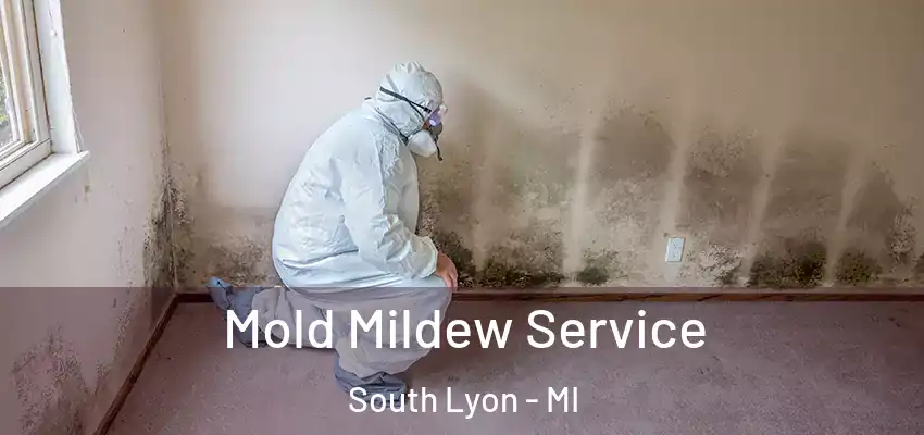  Mold Mildew Service South Lyon - MI